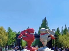 -黄海国家森林公园