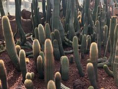 -南通洲际绿博园