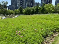 -杭州城北体育公园