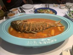 -阿五黄河大鲤鱼(英协路店)