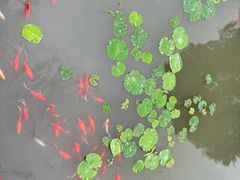 -绍兴大禹开元观堂-若耶厅