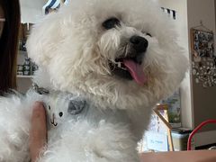 -立德动物医院·24小时中心(番禺区院区)