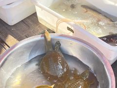 -团泊镇示范集贸市场