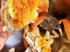 海参花-老号海仙酒家(英雄山路店)