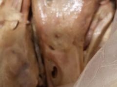盐水鸭头-杨震卤菜旗舰店