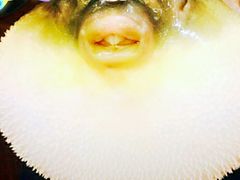 -DQ·蛋糕·冰淇淋(周浦万达店)