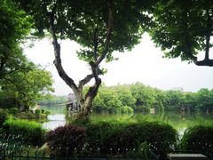 -雨湖公园