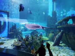 -石林冰雪海洋世界