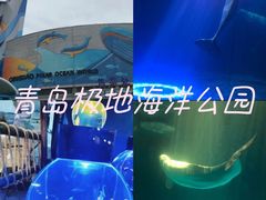 -海合安青岛极地海洋公园