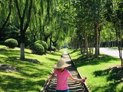 -永定河休闲森林公园