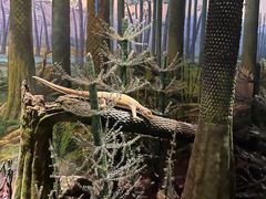 -湖南省地质博物馆