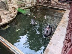 -湖鲜楼