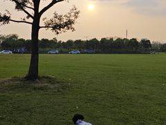 -春花秋色城市公园