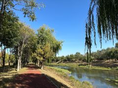 -东郊湿地公园