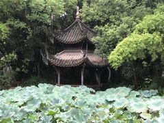 -三苏祠