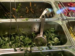 -油梨树AVOCADO TREE(嘉里中心店)