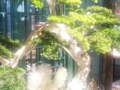 -渝乡辣婆婆·川菜 水煮鱼(中山西路店)