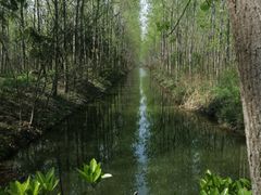 -合肥滨湖国家森林公园