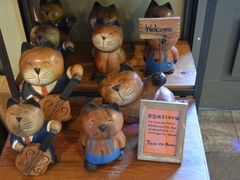 -猫咪博物馆(顶澳仔猫街店)