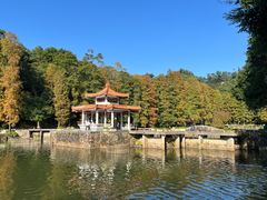 -深圳仙湖植物园