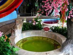 -兴芮温泉度假区