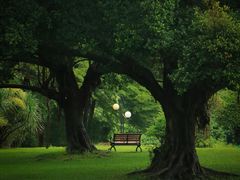 -荔香公园