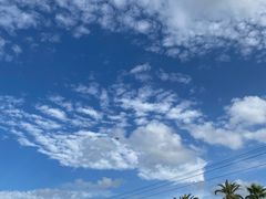 -上海海昌海洋公园