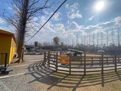 -前小桔亲子创意农场·草莓采摘·露营烧烤