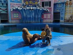 -华夏文旅海洋公园