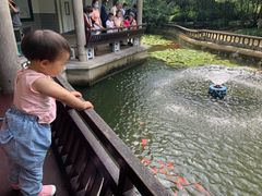 -杭州少年儿童公园