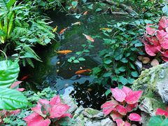-白天鹅宾馆-宏图府餐厅