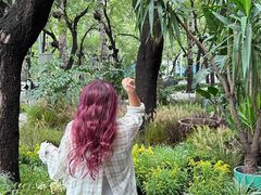 -BOCATA 西班牙餐厅(三里屯店)