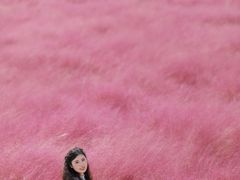 -嘉北郊野公园