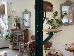 -共舞时光猫咖·狗咖(新街口店)