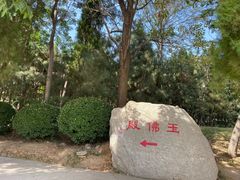 -龙口南山旅游景区