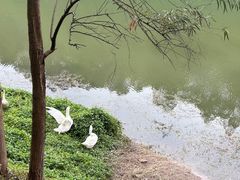 -滴水岩森林公园