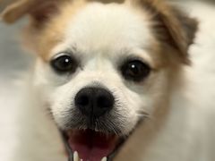 -米村拌饭(杭州国大城市广场店)