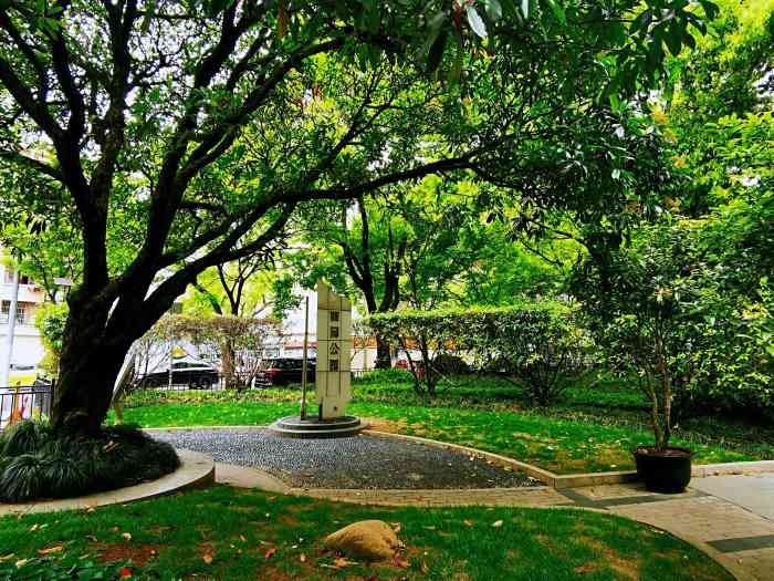 丽园公园-"昨晚11点在公园里捡到一只没有妈妈的流浪.