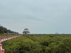 -北海金海湾红树林生态旅游区