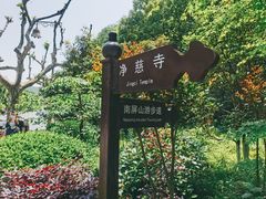 -九曜山