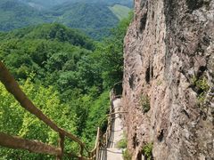 -天女山森林公园