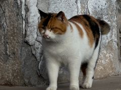 -须弥福寿之庙