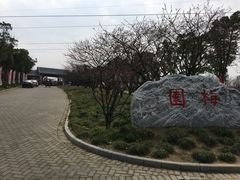 景点-上海海湾国家森林公园