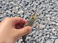 -DGE季风钓虾营地·团建·聚会