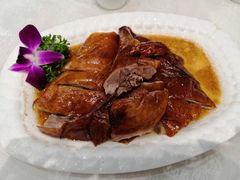 -鹅城
