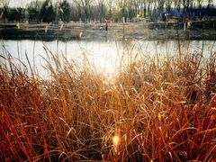 -永定河休闲森林公园