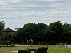 -宁波野生动物园