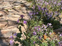 -大泽山风景名胜区