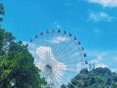 -温州乐园