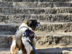 -青州市云门山风景区
